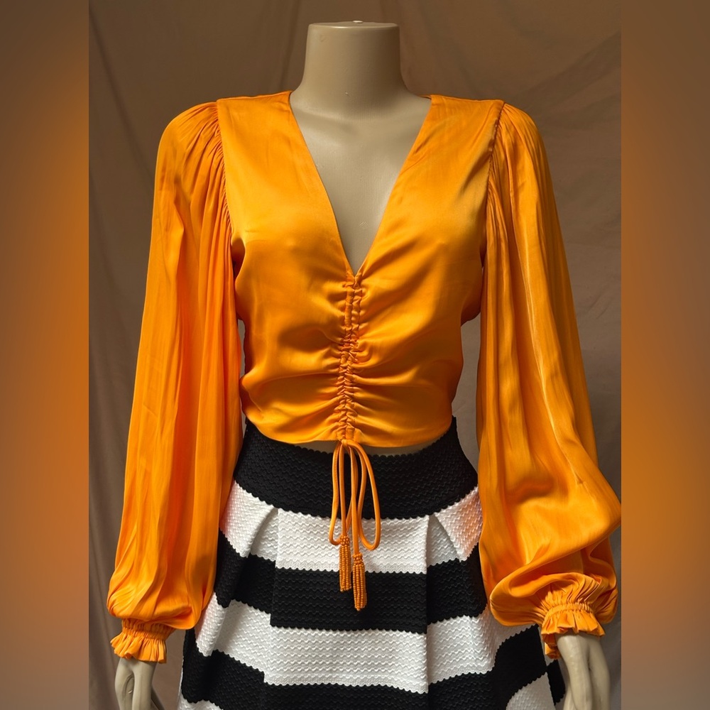 Cupcakes & Cashmere Orange Satin Blouse